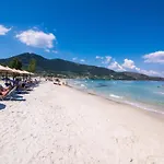 Pelago White * 斯卡拉伯塔麦斯